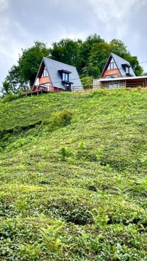 Elit Bungalov